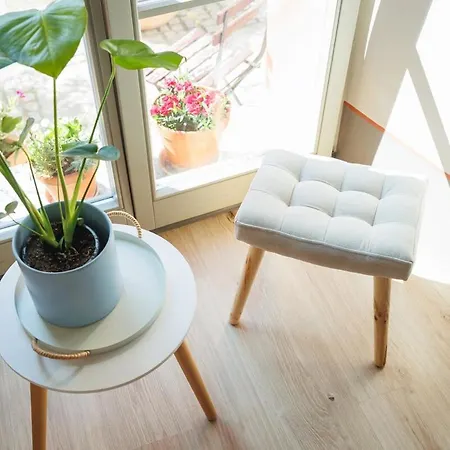 Apartman Stylish In The Baroque House *